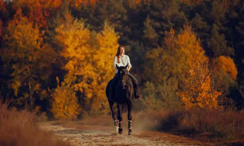 The Top 10 Best Horseback Riding Trails in the U.S.