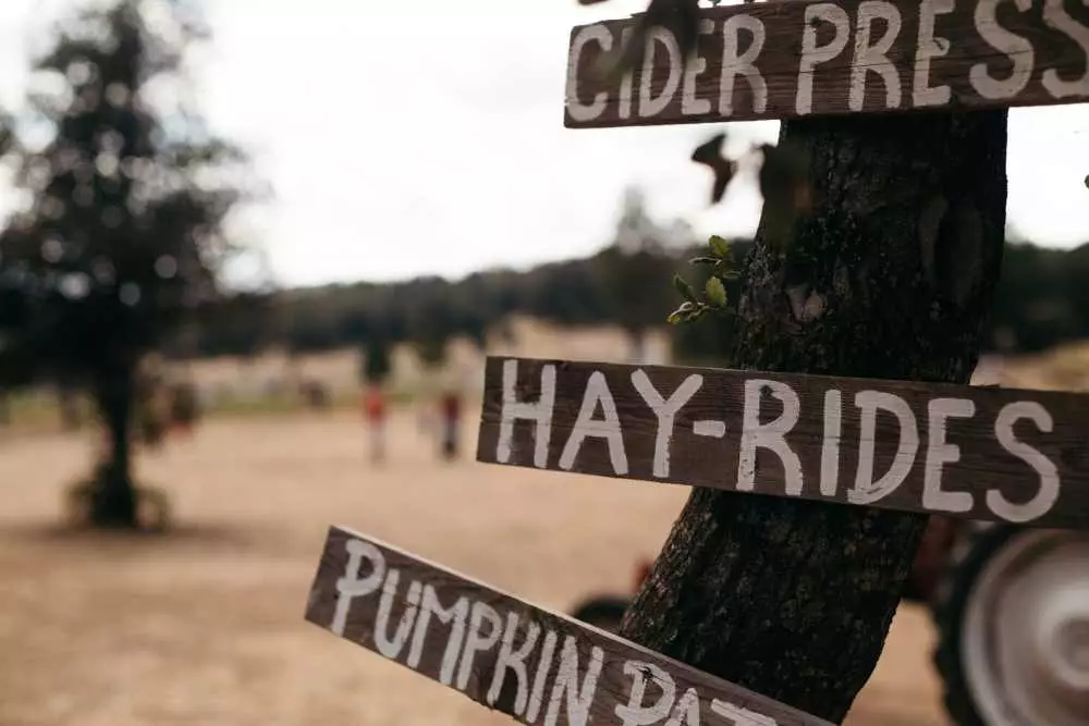 The Best Ways to Do Hayrides this Halloween