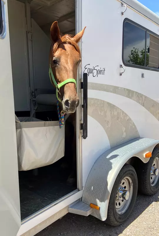 Two Horse Bumper Pull