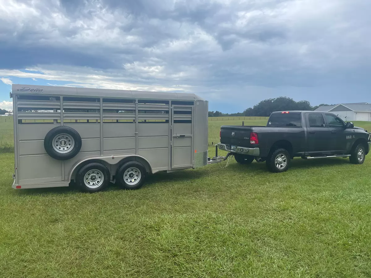 DELTA 6' X 16' X 6'6" TALL ECONOMY LIVESTOCK TRAILER