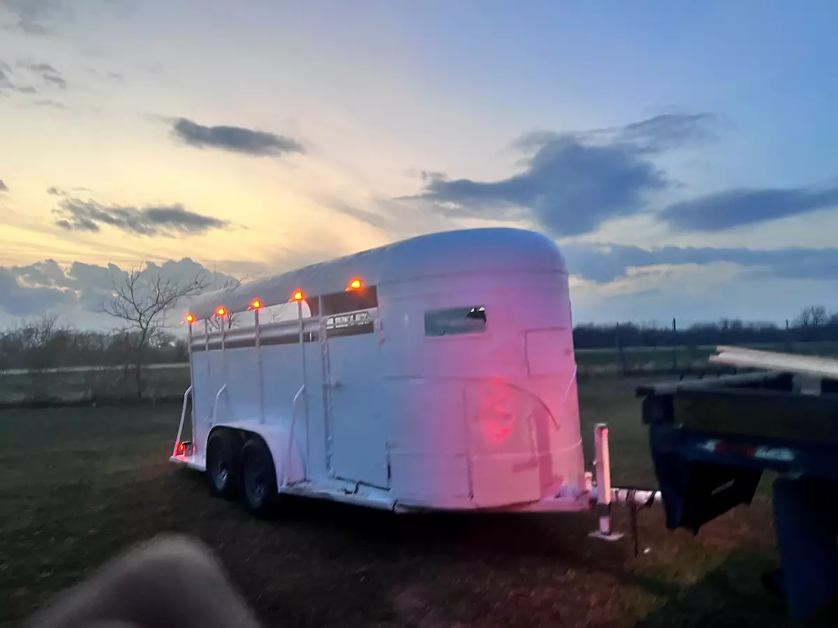 16' x 6' Livestock Trailer